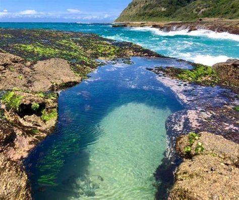 Join us on an exciting adventure and explore the rich and fascinating world of rockpools. Bookings are essential! Tropical Core, Tidal Pool, Tide Pool, France Aesthetic, Water Bodies, Tide Pools, Rock Pools, Marine Biology, Ocean Creatures