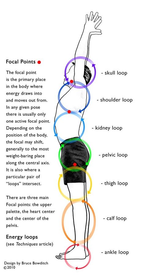 Infinite Lila: Focal Points & Energy Loops Anusara Yoga, Hata Yoga, Ashtanga Vinyasa Yoga, Yoga Anatomy, Yoga Iyengar, Iyengar Yoga, Chakra Yoga, Yoga Therapy, Focal Points