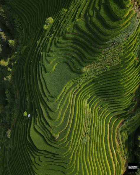 Photographer Captures the Beauty of China's Landscapes with a Drone | PetaPixel Landscape From Above, Aerial Views Landscape, Explore China, Rice Terraces, Chinese Landscape, Drone Photos, Aerial Photo, Natural Phenomena, Drone Photography