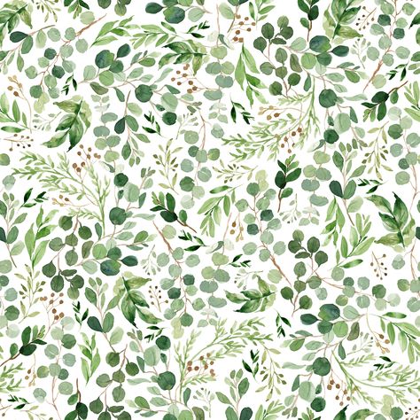 Watercolor Botanical Eucalyptus & Green Leaves , Raspberry Creek Fabrics Eucalyptus Pattern, Eucalyptus Print, Leaves Wallpaper Iphone, Foliage Watercolor, Vine And Branches, Earring Inspo, Eucalyptus Green, Eucalyptus Branches, Botanical Leaves