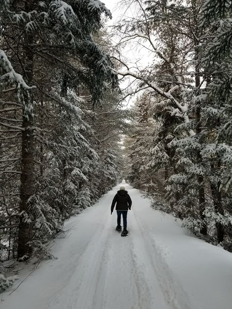 Snow Shoeing Aesthetic, Snowshoe Aesthetic, Snowshoeing Aesthetic, Hiking Winter, Saranac Lake, Snow Activities, Old Train Station, Ski Trails, Evergreen Forest