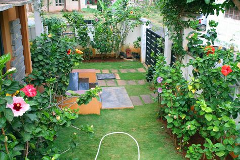 Hidden Valley Hibiscus Worldwide ~ Hibiscus Garden in Bangalore, India Indian Home Garden Design, Garden Ideas India, Hibiscus Garden, Indian Garden, Garden Nook, Easy Backyard, Home Garden Plants, Garden Makeover, Home Garden Design