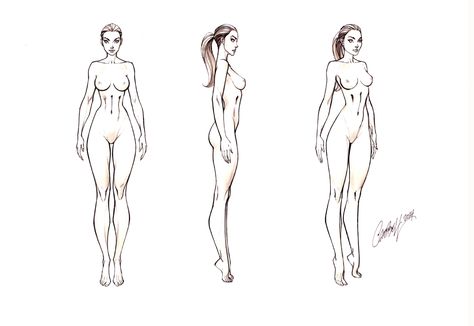 Masters of Anatomy Female Comic Art Female Antonamy Drawing, Female Comic Art, Tamil Drawing, Anatomy Female, 3d Templates, J Scott Campbell, Character Model Sheet, Scott Campbell, Anatomy Sketches