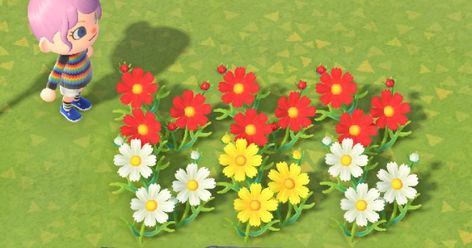 Check out how to get & breed all Cosmos colors in Animal Crossing: New Horizons Switch (ACNH). Includes how to breed and get hybrid flowers, hybrid Cosmos, and more. Acnh Cosmos, Flower Animal Crossing, Hybrid Flowers, Red Cosmos, Yellow Cosmos, List Of Flowers, Cosmos Flowers, All Flowers, Craft Materials