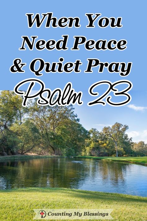 It's hard to turn off the noise and experience the blessing of peace & quiet. Even when it's quiet the noise in my head can be relentless. I've learned that praying Psalm 23 settles my heart & mind. Peace Scripture, Psalm 16:11, Psalm 23 1, Pray For Peace, Love And Forgiveness, Show Me The Way, Nothing To Fear, Find Quotes, Psalm 23