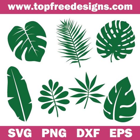 Tropical Flowers Svg Free, Jungle Svg Free, Tropical Leaves Svg Free, Palm Leaf Svg, Monstera Svg Free, Tropical Svg Free, Tropical Leaves Template, Leaf Svg Free, Leaves Template Free Printable