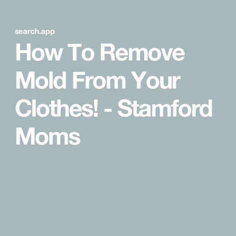 How To Remove Mold From Your Clothes! - Stamford Moms How To Get Mold Out Of Clothes, Mold On Clothes, Remove Mold From Clothes, How To Remove Mold, Remove Black Mold, Remove Mold, Natural Disinfectant, Laundry Tips, Mold Remediation