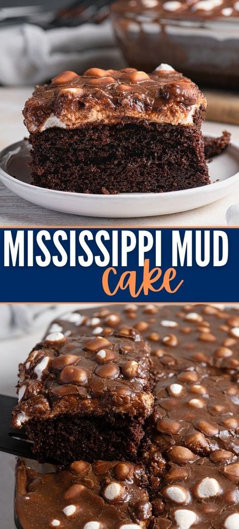 MISSISSIPPI MUD CAKE Mississippi Cake, Pinterest Desserts, Mud Cake Recipe, Mississippi Mud Cake, Mississippi Mud Pie, Miss Cake, Mud Cake Recipes, Banana Dessert Recipes, Chocolate Mud Cake