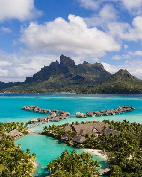 Nicole Isaacs, French Polynesian Islands, Four Seasons Bora Bora, Bora Bora French Polynesia, Dream Travel Destinations, Dream Holiday, Vacation Places, French Polynesia, Bora Bora