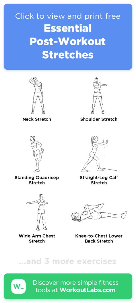 After Workout Stretches, Dynamic Stretching Exercises, Pre Workout Stretches, Workoutlabs Fit, Workout Stretches, Stretches Exercises, Quick Morning Workout, Post Workout Stretches, Workout Labs