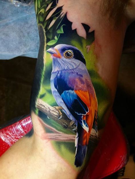 60+ Breathtaking Tattoos by Kegan Hawkins - TheTatt Realistic Bird Tattoo, Colorful Bird Tattoos, Hyper Realistic Tattoo, Famous Tattoo Artists, Tattoo Bird, Tato Lengan, Tatuaje A Color, Bird Tattoo, Colorful Bird