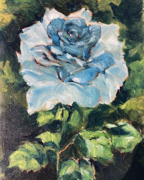 Blue roses blue roses do not naturally exist. .symbolise mystery and are associated with peace, tranquility and serenity..🔹 #oilpainting #rosepainting #bluerose #blueroses Do you also gather facts about the things and subjects you paint😅 I love to find meanings and give purpose to my work💖 Blue Roses Aesthetic, Blue Rose Painting, Spiritual Garden, Prayer Garden, Rose Oil Painting, Roses Blue, Meditation Garden, Rosé Aesthetic, English Cottage Garden