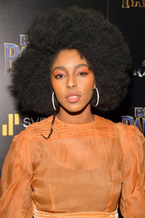 Afro Look, Big Chop Natural Hair, Flat Twist Updo, Natural Hair Accessories, Natural Hair Bride, Jessica Williams, Natural Afro Hairstyles, Natural Hair Twists, Black Celebrities