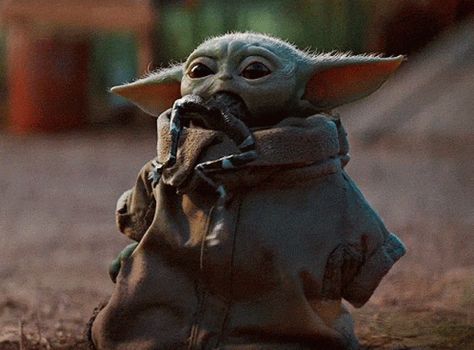 Baby Yoda Frog GIF - BabyYoda Yoda Baby - Discover & Share GIFs Yoda Gif, Yoda Images, Yoda Quotes, Geek House, Yoda Meme, Star Wars Meme, Yoda Wallpaper, Anakin Vader, Baby Frog