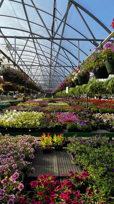 Horticulturist Aesthetic, Green House Planting, Greenhouse Proposal, Flower Greenhouse, Greenhouse Design, Flower Shop Decor, Patio Grande, Home Greenhouse, Farm Business