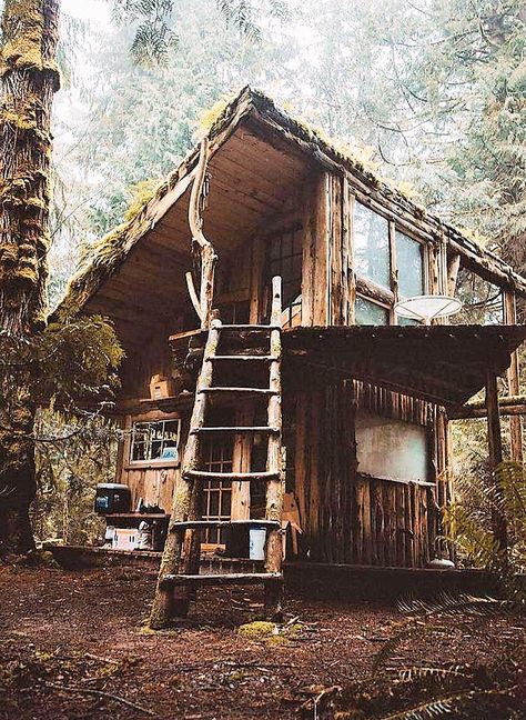 Small Cabin In The Woods, Casa Hobbit, A Cabin In The Woods, Wooden Cabin, Rustic Backyard, A Cabin, Cabin In The Woods, Small Cabin, Cabins And Cottages