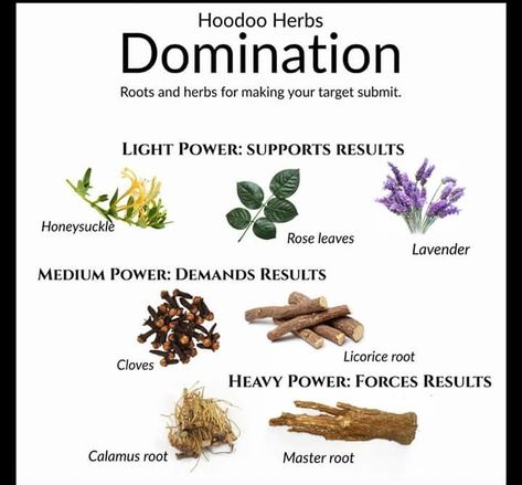 Domination herbs! Vintage Witch Aesthetic, Hoodoo Delish, Hoodoo Conjure Rootwork, Hoodoo Rootwork, Hoodoo Magic, Hoodoo Conjure, Hoodoo Spells, Magickal Herbs, Witch Herbs