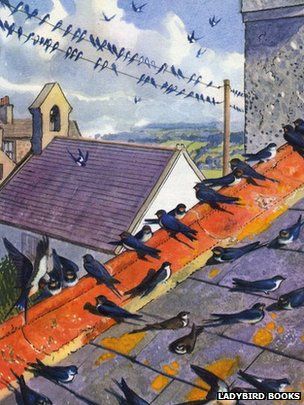 Charles Tunnicliffe illustration of swallows on the roof of his house in Malltraeth, Anglesey Ladybird Books, Wildlife Artists, Swallows, Nature Kids, Bird Illustration, Children's Book Illustration, The Roof, College Art, Children Illustration