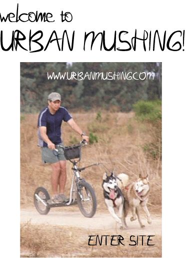 Urban Mushing (Dog Scootering) Dog Carting, Urban Mushing, Dog Mushing, Urban Dog, Dog Sled, Sled Dogs, Sled Dog, Dog Projects, Dog Info