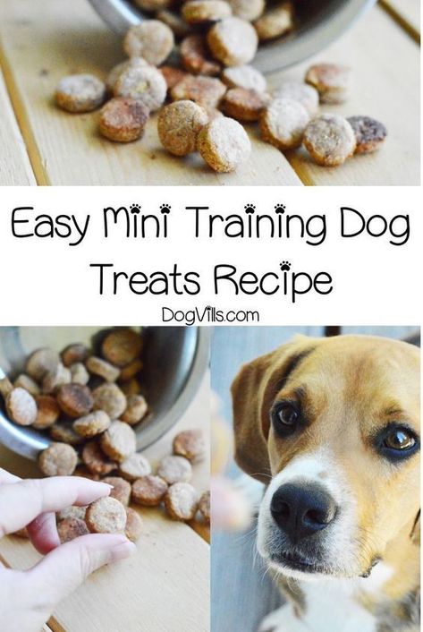 Easy Mini Training Dog Treats Recipe Diy Dog Training Treats, Diy Dog Training, Puppy Treats Homemade, Training Dog Treats, Dog Training Treats Recipe, Puppy Training Treats, Dog Treats Recipe, Dog Treats Homemade Easy, Easy Dog Treat Recipes