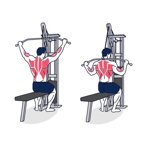 The Behind the Neck Pull-down exercise is designed to strengthen and tone the latissimus dorsi muscle in your back. Here’s a breakdown of how it’s done, its benefits, and some helpful hints: Instructions for Behind the Neck Pull-down Benefits: Tips: Alternates for Behind the Neck Pull-down JavaScript is currently disabled in this browser. Reactivate it […] Latissimus Dorsi, Pull Ups, Your Back, Helpful Hints, Benefits, Gym