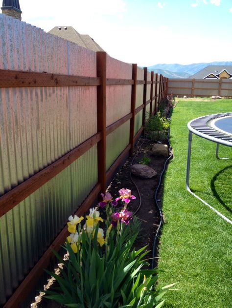 Cheap Privacy Fence, Corrugated Metal Fence, Yard Privacy, Diy Privacy Fence, Privacy Fence Designs, Cheap Fence, Cheap Backyard, Backyard Privacy, Garden Ideas Cheap