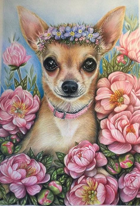 RAFFAELLA PICOTTI Chihuahua Art, Chihuahua Mom, Puppy Art, Cute Chihuahua, Chihuahua Love, Chihuahua Puppies, Coloured Pencils, Chihuahua Dogs, Dog Paintings