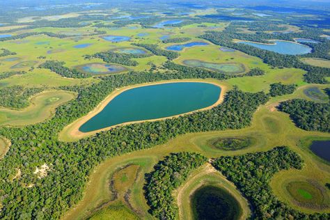 Pantanal - Toda Matéria Amazon Rainforest, Travel Locations, Summer Projects, High Fantasy, Photo Reference, Nice View, Google Images, Golf Courses, Brazil