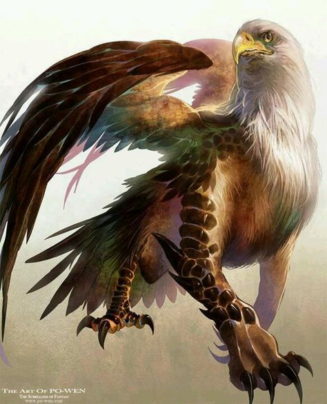 Bald Eagle World Mythology, Heroic Fantasy, Mythical Animal, Mythical Beast, An Eagle, Fantasy Monster, Mythological Creatures, Greek Myths, Mystical Creatures