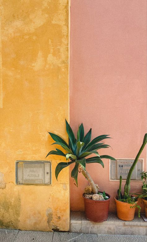 Alcudia, Mallorca Mallorca Color Palette, Cottage Palette, Mallorca Spain Aesthetic, Mallorca Aesthetic, Vine Lights, Spain Aesthetics, Workshop Decor, Kitchen Moodboard, Interior Design Instagram