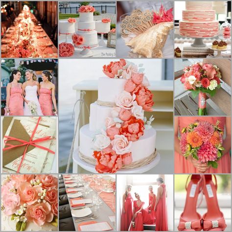 Coral And White Wedding, Colorful Wedding Decorations, Rainbow Wedding Cake, Coral Wedding Decorations, Peach Wedding Dress, Coral Wedding Themes, Coral Wedding Colors, White Wedding Decor, Green Wedding Decorations