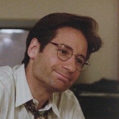 Fox Mulder, A Man, Fox, Tv