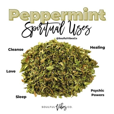 Spiritual Shop on Instagram: “Peppermint doesn't just keep the breath fresh 😅 ⁠ ⁠ Did you know that the Peppermint Herb has so many spiritual uses? 🤔 You can create your…” Witch's Apothecary, Peppermint Herb, Magical Food, Spiritual Products, Spiritual Shop, Herbal Health, Sleep Love, Magickal Herbs, Witch Herbs