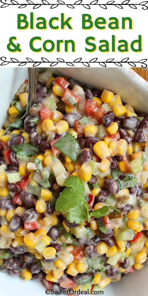 Savory black beans with sweet corn in a salad topped with tart yogurt and salsa. Easy to make ahead and colorful enough to dress up any meal. Black Bean and Corn Salad is perfect for any occasion like Easter, Mother’s Day, or backyard picnics. Salsa Easy, Black Bean And Corn Salad, Bean And Corn Salad, Black Bean Corn Salad, Black Bean And Corn, Black Bean Corn, Corn Salad Recipes, Black Bean Salad, Summer Corn Salad