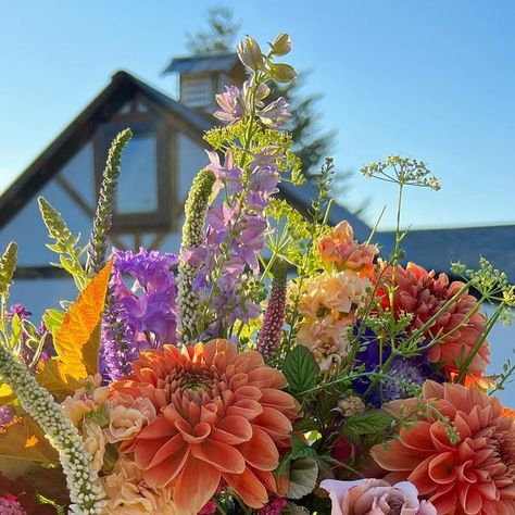 Cut Flower Farm, Dahlia Bouquet, Bouquet Tutorial, Flower Farmer, Wildflower Bouquet, Backyard Farming, June Wedding, Dream Business, Whimsical Wedding