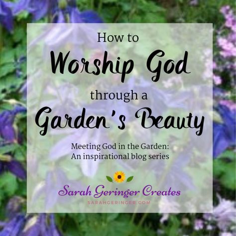 How to Worship God through a Garden's Beauty - Sarah Geringer Biblical Garden, Bible Garden, Spiritual Garden, Tattoo Plant, Prayer Garden, Christian Meditation, The Garden Of Eden, Meditation Garden, Finding Jesus