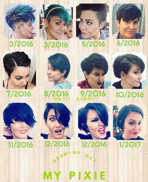 Pixie grow out growth short hair Growing Pixie Cut, Growing Out Pixie Cut, Stacked Haircut, Hair Stages, Make Your Hair Grow Faster, Growing Out Hair, Grown Out Pixie, Hair Grow Faster, Chemo Hair