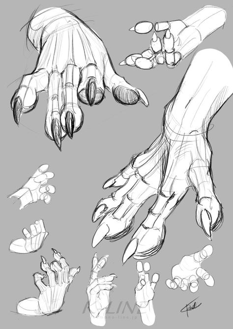 Human Hand Anatomy Drawing, Drawing Clawed Hands, Hand Wraps Drawing, How To Draw Fingernails, Claw Art Reference, How To Draw Talons, Dragon Hands Reference, Rock Drawing Reference, Clawed Hands Reference