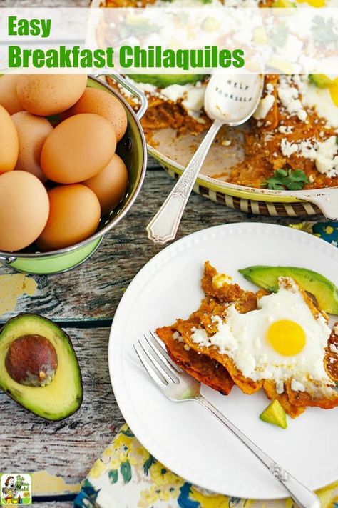 Cook up this Easy Breakfast Chilaquiles Recipe for breakfast. This Mexican inspired one-pot skillet recipe is naturally gluten-free. #breakfast #brunch #recipes #easy #recipeoftheday #glutenfree #easyrecipe #easyrecipes #glutenfreerecipes #Mexicanfood #eggs Roja Sauce, Chilaquiles With Eggs, How To Make Chilaquiles, Mexican Chilaquiles, Breakfast Mexican, Breakfast Chilaquiles, Chorizo Queso, Chilaquiles Recipe, Morning Recipes Breakfast