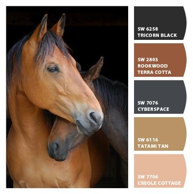 Horse Color Palette, Western Paint Colors, Western Color Palette, Blending Colored Pencils, Color Chip, Color Balance, Colour Board, Horse Coloring, Paint Colors For Home