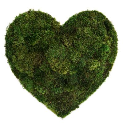 la vie est belle The Magicians Julia, Love In Cursive, Moss Letters, Floating Garden, Love Heart Images, Moss Wall Art, Moss Art, Moss Wall, Heart Images