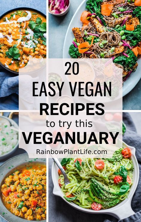 A roundup of 20 Easy Vegan Recipes that are perfect for Veganuary! Whether you’re newly vegan, been vegan for years, or just veg-curious, these flavor-packed vegan recipes will blow your mind! #veganuary #veganrecipes #veganfood #veganblog #healthyvegan #newvegan Rainbow Plant Life, Easy Vegan Recipes, Counting Carbs, Vegan Brunch, Healthy Vegan Desserts, Vegan Pasta Recipes, Vegan Main Dishes, Recipes To Try, Vegan Dinner