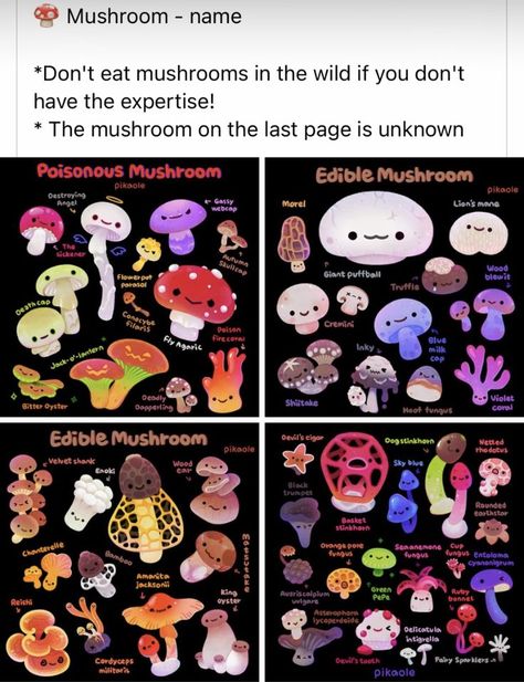 Types Of Mushrooms, Mushroom Drawing, Psy Art, Mushroom Art, Pretty Plants, Cool Plants, Useful Life Hacks, Drawing Tips, Art Tips