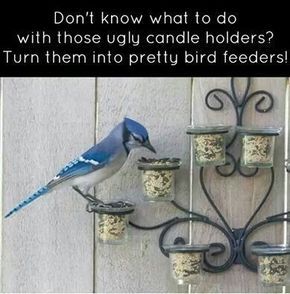 Candle Holder Bird Feeder, Old Candles, Diy Bird Feeder, Diy Birds, How To Attract Birds, Bird Baths, Outside Ideas, Garden Yard Ideas, Backyard Birds