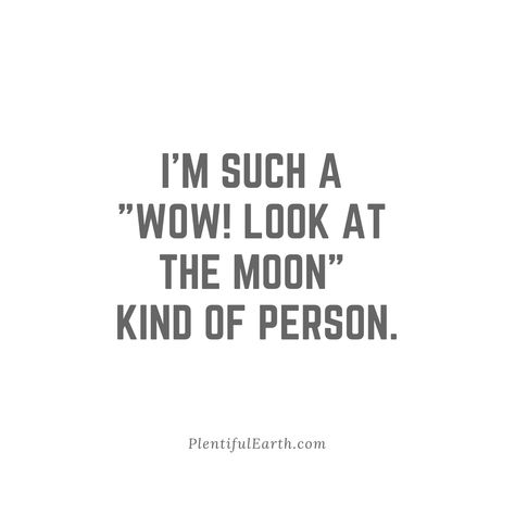 Share this amazing motivational quote on Facebook, Twitter, Pinterest and more! Visit our Fountain of Inspiration for more Positive Quotes! “I’m such a “Wow! Look at the Moon” kind of person.” – Every skygazer ever  #PlentifulEarth Full Moon Quotes, Moon And Star Quotes, Space Quotes, Earth Quotes, Moon Quotes, Star Quotes, Look At The Moon, Kindness Quotes, Aesthetic Quotes