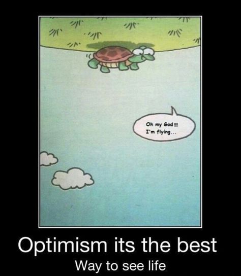 Flying by the seat of my pants Mental Training, A Turtle, Inspirational Quotes Motivation, The Words, Life Lessons, Wise Words, Favorite Quotes, Quotes To Live By, Me Quotes