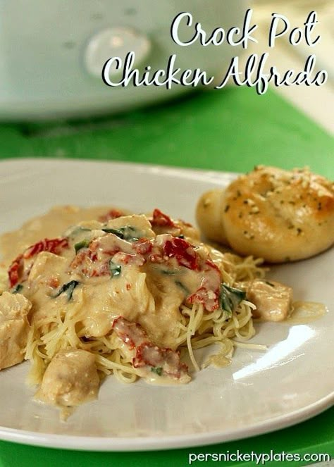 5 ingredient, super simple, Crock Pot Chicken Alfredo | Persnickety Plates Alfredo With Sun Dried Tomatoes, Simple Crock Pot Chicken, Crock Pot Chicken Alfredo, Persnickety Plates, Full Meals, Slow Cooker Dinner Recipes, Crock Pot Food, Chicken Alfredo Recipes, Poultry Dishes