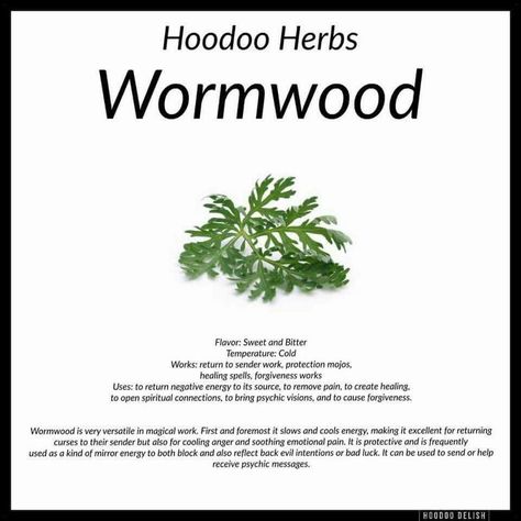 Wormwood Hoodoo Herbs, Hoodoo Delish, Hoodoo Conjure Rootwork, Hoodoo Rootwork, Root Work, Hoodoo Magic, Hoodoo Conjure, Hoodoo Spells, Magickal Herbs