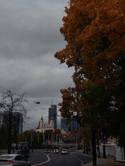 Autumn, fall, vibe, aesthetic, falling leaves, city, downtown, Vilnius, Lithuania, windy, cloudy, rainy day, moody day, cozy, pumkin spice latte time Windy Day Aesthetic, Autumn In The City, Rainy Fall Day, City Downtown, Vibe Aesthetic, Vilnius Lithuania, Falling Leaves, Vilnius, Autumn Day