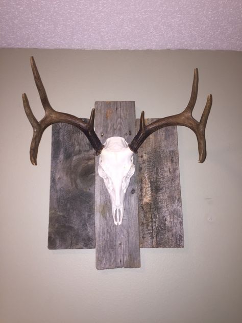 Rustic wood plaque  for European mount Deer Horn Decor Ideas, Deer Antler Mount Ideas, Euro Trophy, European Deer Mount Ideas, Antler Mount Ideas, Skull Mount Ideas, Deer Antler Ideas, Deer Mount Decor, Deer Mount Ideas